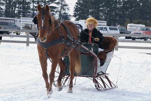 [Sleigh[6].jpg]